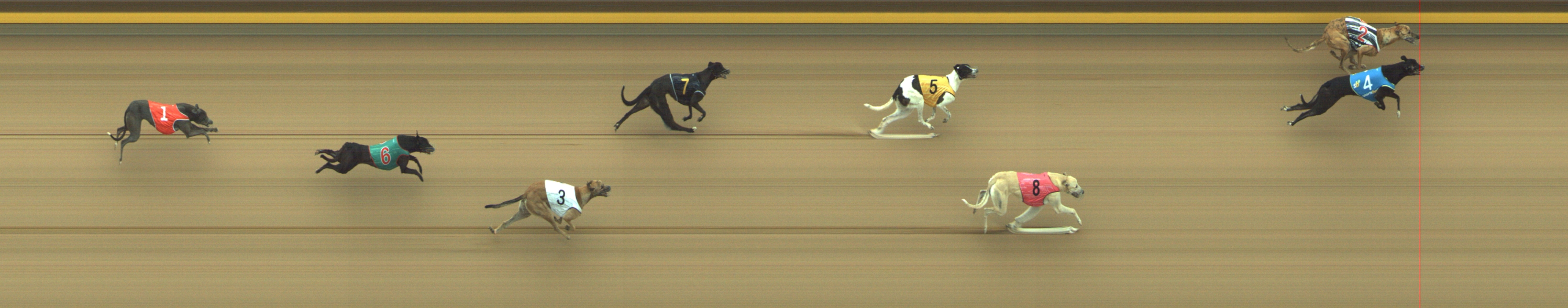 Race result finish photo